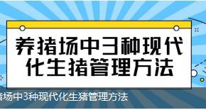 秋冬豬場呼吸道疾病防控策略